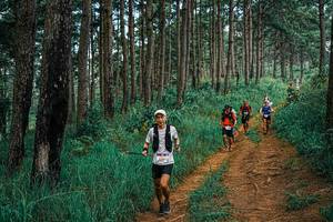 BIB: 
                            <button type="button" onclick="openModal(25671317)" class="btn btn-primary btn-sm float-right btn-popup" data-toggle="modal" data-target=".modal-high-quality">
                        <i class="fas fa-shopping-cart"></i> Add to Cart
                    </button>
                                            <button type="button" onclick="isThisMe(25671317, true)" class="btn btn-success btn-sm float-right btn-popup btn-isme hidden" data-toggle="tooltip" data-placement="bottom" title="นี่คือรูปของคุณใช่ไหม คลิกที่นี่เพื่อเอาเข้าอัลบั้ม">
                        <i class="fas fa-plus"></i> Add to album
                    </button>
                    <button type="button" onclick="isThisMe(25671317, false)" class="btn btn-warning btn-sm float-right btn-popup btn-isnotme hidden">
                        <i class="fas fa-ban"></i> Remove from album
                    </button>